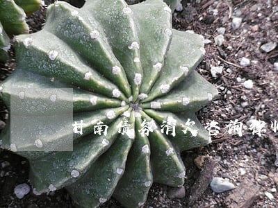 甘南债务清欠咨询律师 甘南债务清欠咨询律师