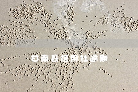 甘南县信用社逾期 甘南县信用社逾期