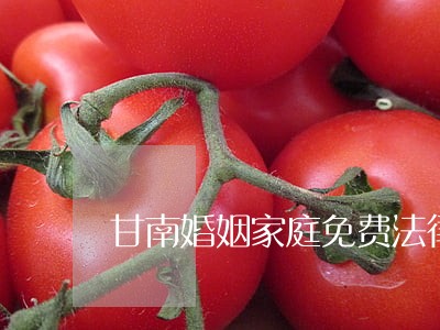 甘南婚姻家庭免费法律咨询热线 甘南婚姻家庭免费法律咨询热线