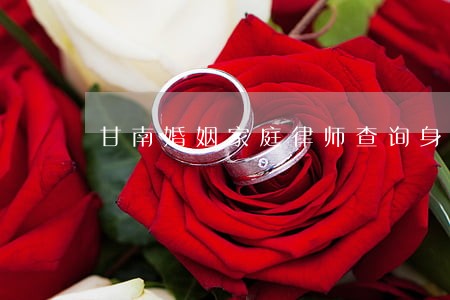甘南婚姻家庭律师查询身份信息