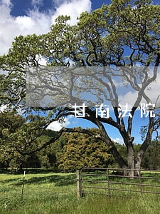 甘南法院扫雪忙