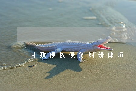 甘孜债权债务纠纷律师