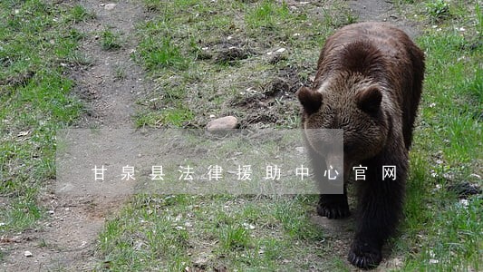 甘泉县法律援助中心官网 甘泉县法律援助中心官网