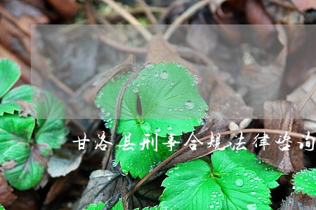 甘洛县刑事合规法律咨询热线