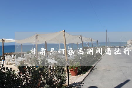 甘肃严打春运期间违法行为 甘肃严打春运期间违法行为