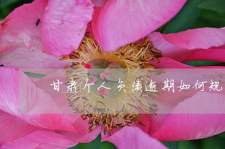 甘肃个人负债逾期如何规划还款 甘肃个人负债逾期如何规划还款