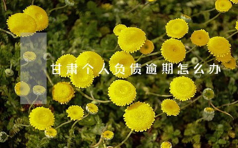 甘肃个人负债逾期怎么办 甘肃个人负债逾期怎么办