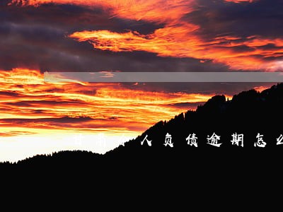 甘肃个人负债逾期怎么处理 甘肃个人负债逾期怎么处理