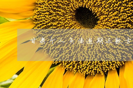 甘肃个人负债逾期还款方法 甘肃个人负债逾期还款方法