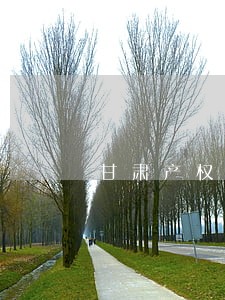 甘肃产权转让合同律师 甘肃产权转让合同律师