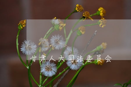 甘肃人大司法委员会 甘肃人大司法委员会