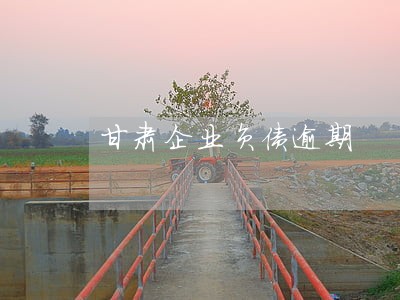 甘肃企业负债逾期 甘肃企业负债逾期
