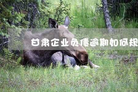 甘肃企业负债逾期如何规划还款 甘肃企业负债逾期如何规划还款