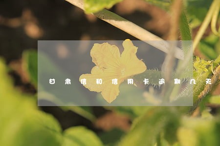 甘肃信和信用卡逾期几天