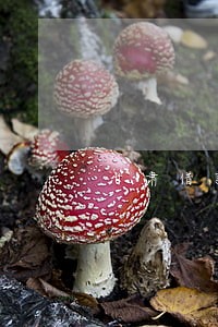 甘肃借款逾期债务重组利弊 甘肃借款逾期债务重组利弊