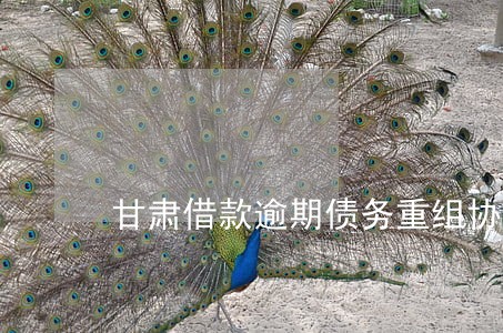 甘肃借款逾期债务重组协商方法 甘肃借款逾期债务重组协商方法