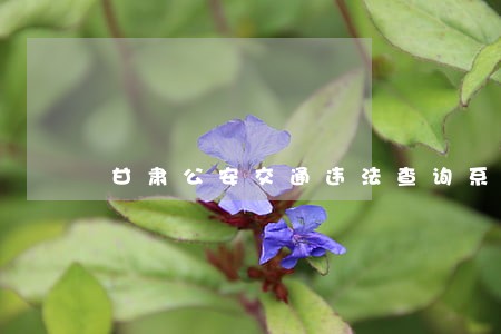 甘肃公安交通违法查询系统
