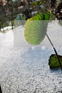 甘肃兰州专业债务律师法律咨询 甘肃兰州专业债务律师法律咨询