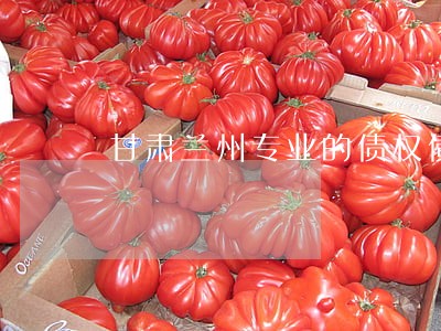 甘肃兰州专业的债权债务律师找谁