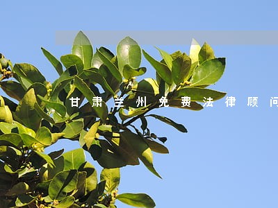 甘肃兰州免费法律顾问 甘肃兰州免费法律顾问