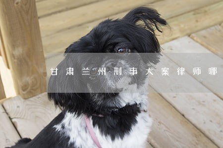 甘肃兰州刑事大案律师哪个好 甘肃兰州刑事大案律师哪个好