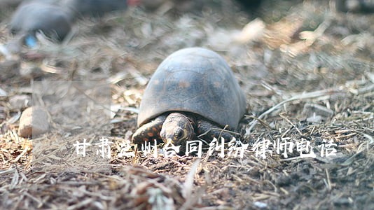 甘肃兰州合同纠纷律师电话 甘肃兰州合同纠纷律师电话