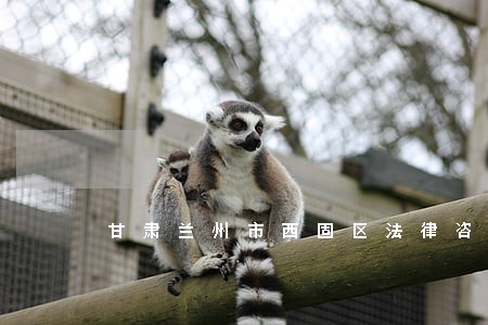 甘肃兰州市西固区法律咨询