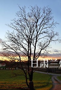 甘肃兰州找债务纠纷律师法律服务 甘肃兰州找债务纠纷律师法律服务