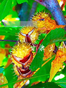甘肃兰州榆中县城关区司法所 甘肃兰州榆中县城关区司法所