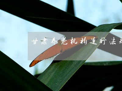 甘肃养老机构运行法规政策