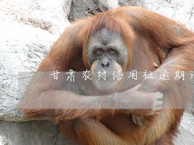 甘肃农村信用社逾期记录怎么消除 甘肃农村信用社逾期记录怎么消除