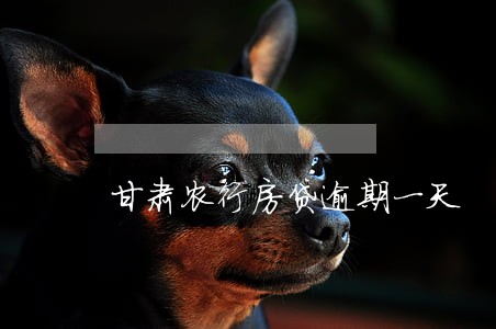 甘肃农行房贷逾期一天 甘肃农行房贷逾期一天