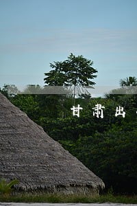 甘肃出生证明逾期办理手续 甘肃出生证明逾期办理手续