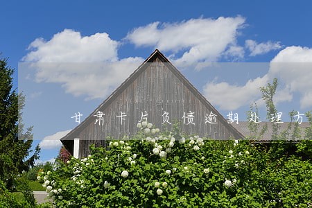 甘肃卡片负债逾期处理方法 甘肃卡片负债逾期处理方法