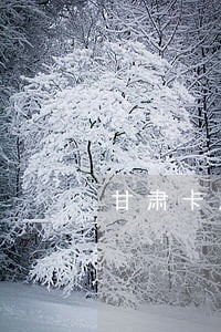 甘肃卡片负债逾期如何规划还款 甘肃卡片负债逾期如何规划还款