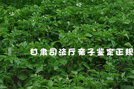 甘肃司法厅亲子鉴定正规机构 甘肃司法厅亲子鉴定正规机构