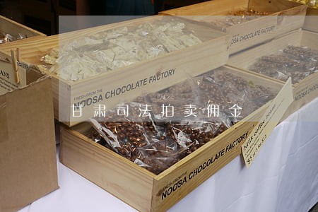 甘肃司法拍卖佣金