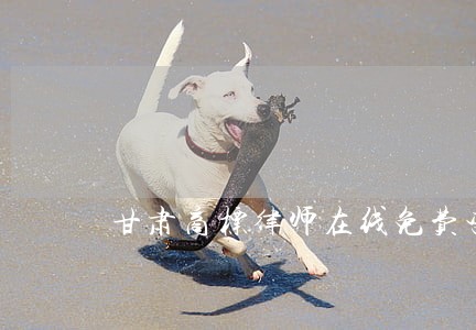 甘肃商标律师在线免费咨询 甘肃商标律师在线免费咨询