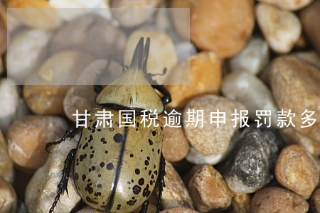 甘肃国税逾期申报罚款多少钱 甘肃国税逾期申报罚款多少钱