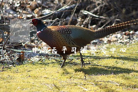 甘肃天平司法鉴定中心 甘肃天平司法鉴定中心