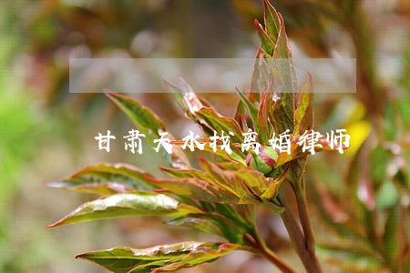 甘肃天水找离婚律师 甘肃天水找离婚律师