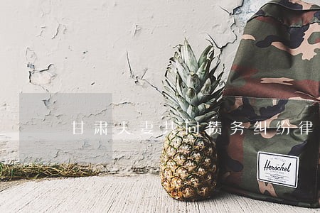 甘肃夫妻共同债务纠纷律师 甘肃夫妻共同债务纠纷律师