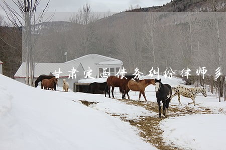 甘肃定西债务纠纷律师多少钱 甘肃定西债务纠纷律师多少钱