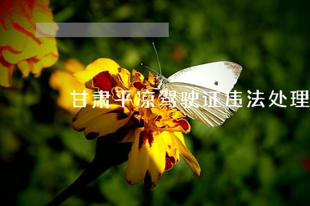 甘肃平凉驾驶证违法处理中介 甘肃平凉驾驶证违法处理中介