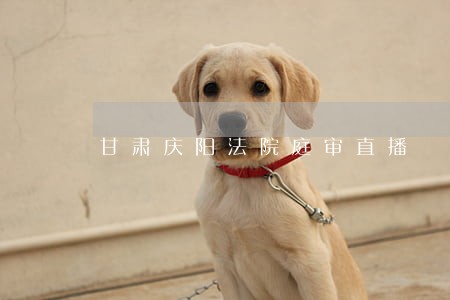 甘肃庆阳法院庭审直播 甘肃庆阳法院庭审直播
