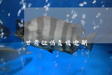 甘肃征信负债逾期 甘肃征信负债逾期