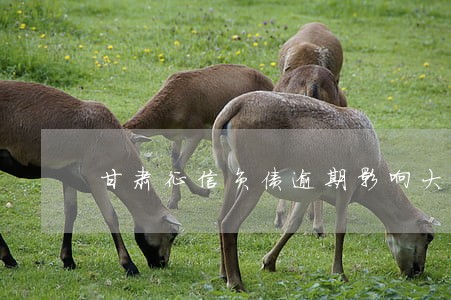甘肃征信负债逾期影响大吗 甘肃征信负债逾期影响大吗