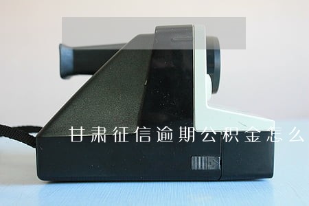 甘肃征信逾期公积金怎么办 甘肃征信逾期公积金怎么办