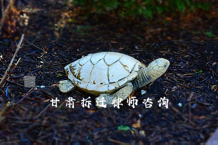 甘肃拆迁律师咨询 甘肃拆迁律师咨询