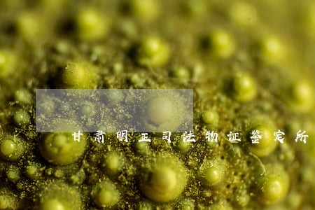 甘肃明正司法物证鉴定所怎么样 甘肃明正司法物证鉴定所怎么样